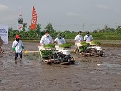 Airlangga Klaim Kucuran KUR Hampir Rp 190 Triliun