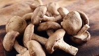 Vitamin D Tak Harus dari Suplemen, Ini Makanan Sumber Alaminya