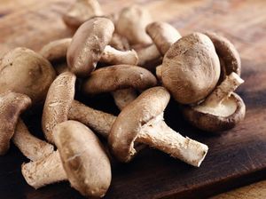 Rutin Makan Jamur Bisa Turunkan Risiko Depresi, Ini Penjelasan Peneliti