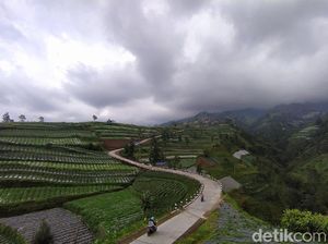Jalan Tol Tercantik di Indonesia Itu Dua-duanya Ada di Jawa Tengah Jalan Tol Tercantik di Indonesia Itu Dua-duanya Ada di Jawa Tengah