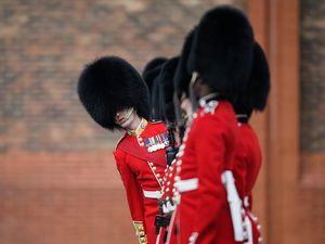 Aktor Ini Kecam Penggunaan Bulu Asli pada Topi Pasukan Raja Inggris Aktor Ini Kecam Penggunaan Bulu Asli pada Topi Pasukan Raja Inggris
