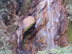 Penampakan Lokasi Ditemukannya Bocah Pendaki di Gunung Guntur