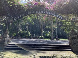 Melihat Kampung Kera di Bali, Gemoy!