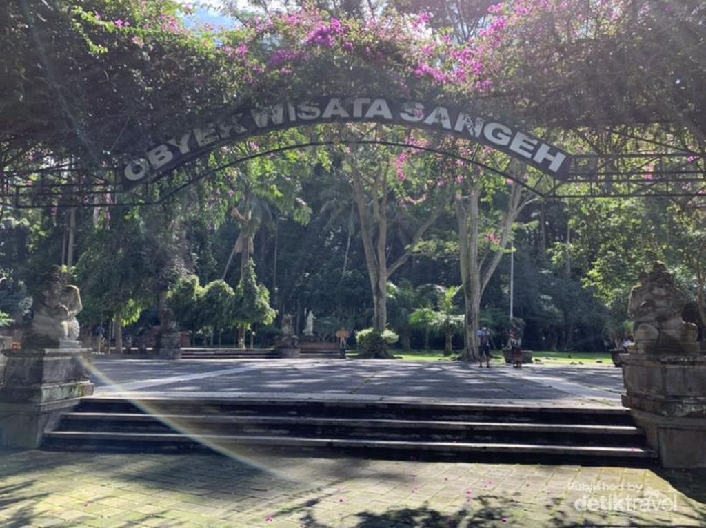 Melihat Kampung Kera di Bali, Gemoy! Melihat Kampung Kera di Bali, Gemoy!
