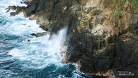 Susur Pantai Siung dan Bukit Pengilon, Sudah Pernah Belum?