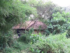 Cari Rumah Angker di RI, Ini Cara Orang Jepang Ngecek Beneran Ada Hantu
