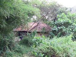 Cari Rumah Angker di RI, Ini Cara Orang Jepang Ngecek Beneran Ada Hantu