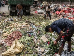 Sekjen PBB Dorong Reformasi Sistem Pangan untuk Kemakmuran Dunia