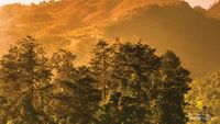 Begitu Magis dan Syahdu, Sunrise di Candi Cetho