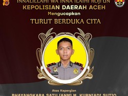 3 Fakta Aksi Teroris KKB Tewaskan Anggota Brimob di Kiwirok Papua