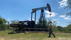 Foto: Desa di Blora yang Disebut Texas-nya Indonesia