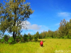 Gunung Argopuro: Lokasi, Jalur Pendakian, Keunikan dan Tiket Masuk