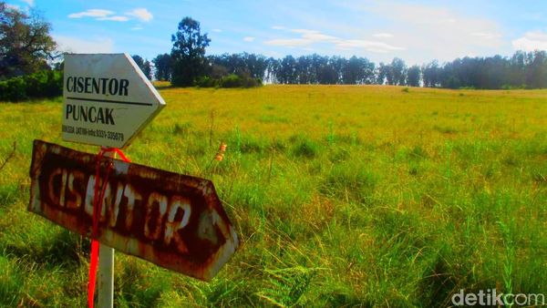 Foto: Gunung Argopuro, Trek Pendakian Terpanjang di Jawa
