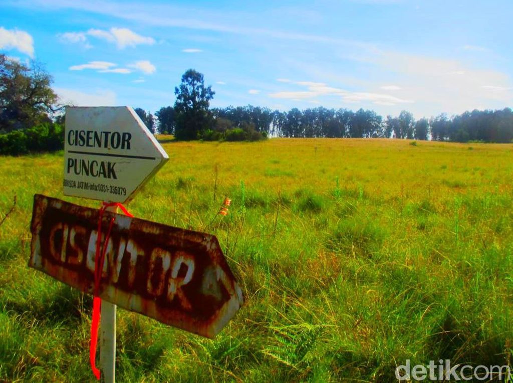 Foto: Gunung Argopuro, Trek Pendakian Terpanjang di Jawa Foto: Gunung Argopuro, Trek Pendakian Terpanjang di Jawa