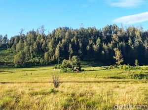 Cuaca Ekstrem, Gunung Argopuro Ditutup Sementara Selama Bulan Desember