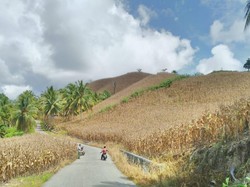 Kementan Lapor Capaian Kinerja, DPR Ragu Datanya Benar!