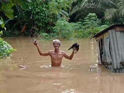 Diguyur Hujan Deras, Ratusan Rumah di Kampar Riau Terendam Banjir
