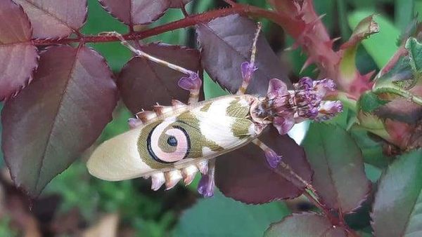 Foto-foto Keajaiban Alam yang Mungkin Belum Pernah Kamu Lihat