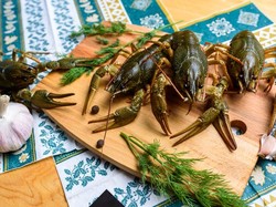 Ngeri! 7 Hidangan Ini Sajikan Hewan Hidup dan Bergerak-gerak di Piring