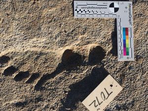 Berusia 23.000 Tahun, Jejak Kaki Manusia Tertua di Amerika Ditemukan