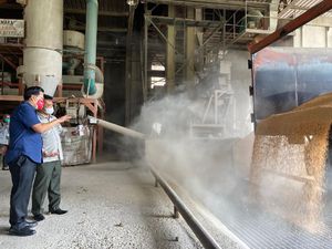 Mentan Cek Ketersediaan Jagung, Pastikan Pakan untuk Ternak Aman