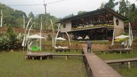 Potret Kedai Kopi Hits di Tengah Sawah Bogor