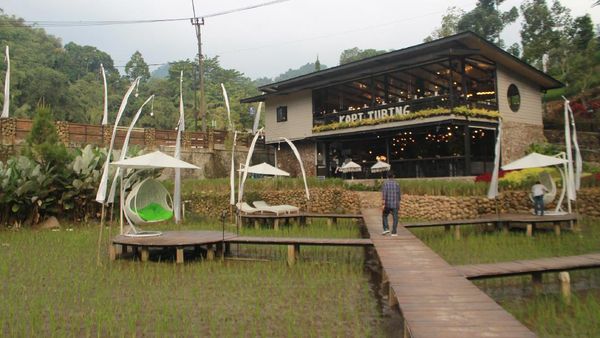 Potret Kedai Kopi Hits di Tengah Sawah Bogor