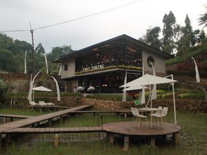 Coffee Shop Nuansa Pedesaan hingga Burung Paling Mematikan di Dunia Coffee Shop Nuansa Pedesaan hingga Burung Paling Mematikan di Dunia