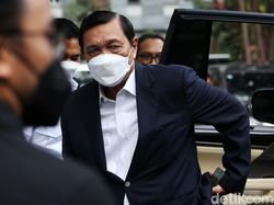Luhut soal Pandora Papers: Kalau Saya Salah, Hukum Saja