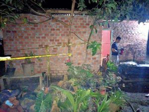 Tersinggung Diminta Tips, Pria di Sumsel Bunuh Wanita Open BO