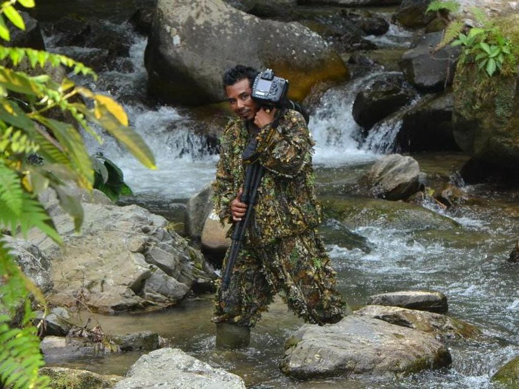 Cerita Soal Momen Tak Terlupakan Fotografer Sekaligus Pengamat Macan Tutul Jawa