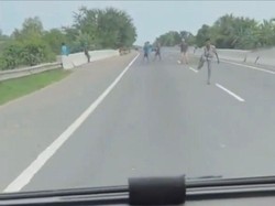 Viral Video Gerombolan Pemuda Palak dan Lempari Mobil di Jalan Tol