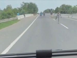 Pemalakan-Cegat Mobil di Jalan Kerap Terjadi, Lakukan Ini untuk Antisipasi Pemalakan-Cegat Mobil di Jalan Kerap Terjadi, Lakukan Ini untuk Antisipasi