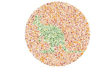 3 Jenis Buta Warna, Apakah Kamu Alami Salah Satunya?