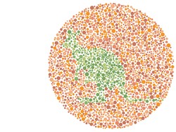 3 Jenis Buta Warna, Apakah Kamu Alami Salah Satunya?