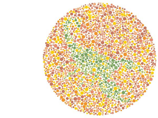 Cuma yang Matanya Sempurna Melihat Warna Bisa Menebak Hewan di Gambar Ini