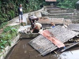2 Pria di Tasikmalaya Tewas Tertimpa Saung Pembibitan Ikan yang Ambruk