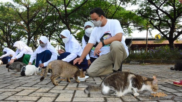 Gubernur DKI Jakarta Anies Baswedan menghadiri hari Rabies Sedunia di Ancol, Jakarta Utara. (Dok. Pemprov DKI Jakarta)