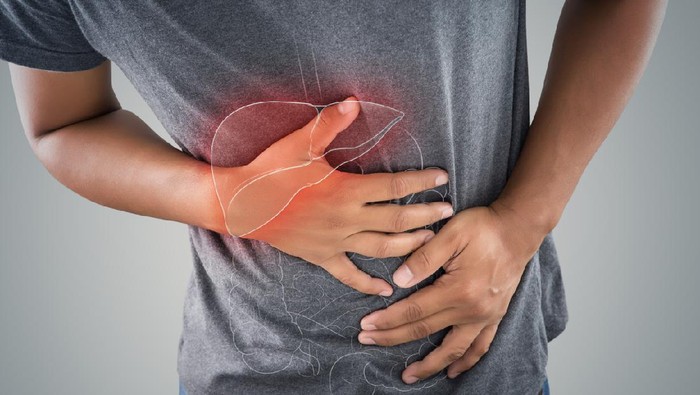 Ilustrasi Kanker Hati The photo of large intestine is on the mans body against gray background, People With Stomach ache problem concept, Male anatomy