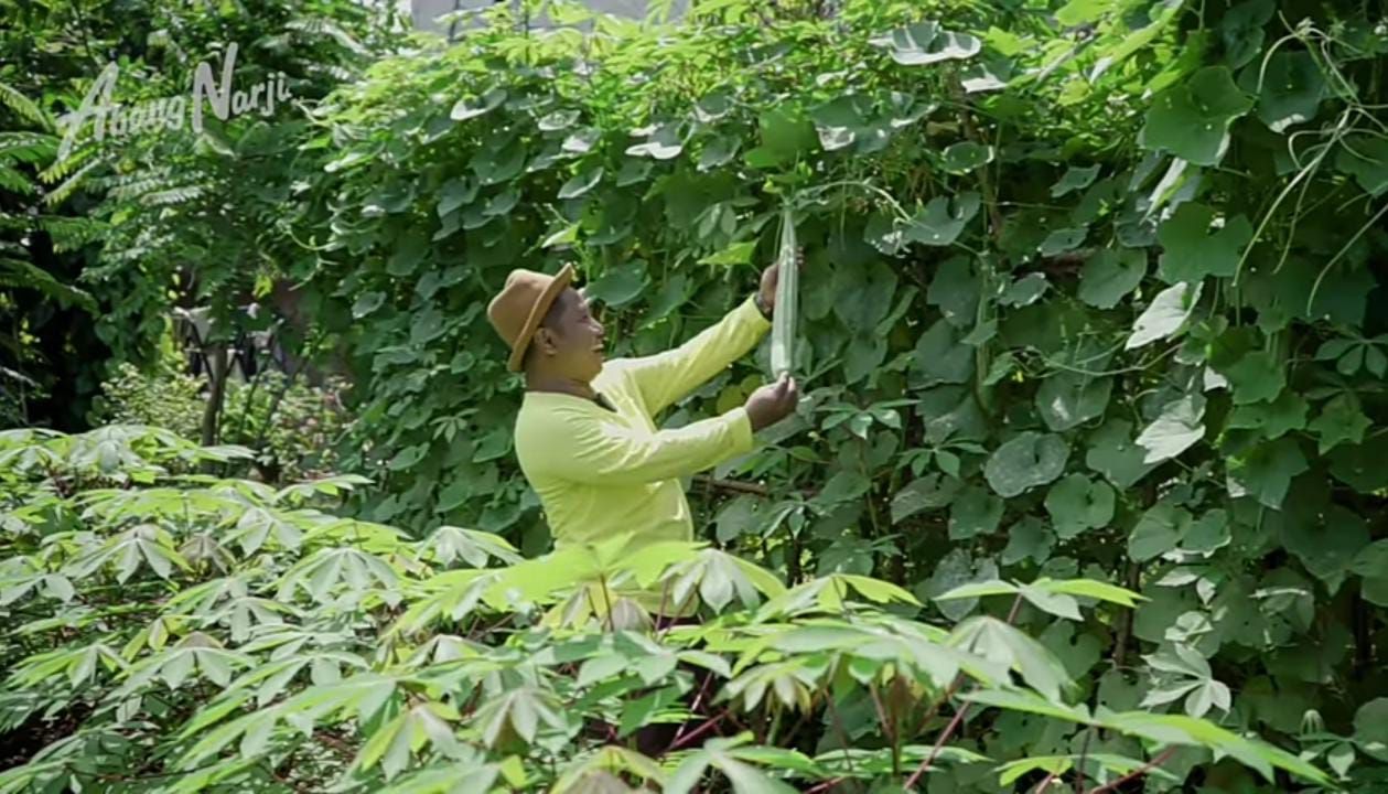 Kabur ke Pekalongan, Ini Kisah Narji 'Cagur' yang Kini Sukses Jadi Petani