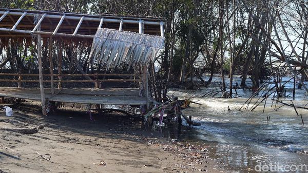 Potret Pantai Muara Beting Bekasi yang Terancam Abrasi