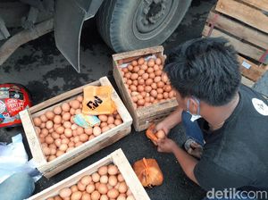 Bagikan Telur Gratis untuk Warga, Peternak Tasik: Harga Hancur