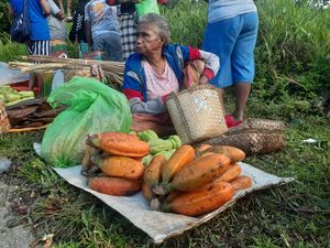 Buah Pisang Raksasa dari Papua Nih, Panjang 30 cm, Diameter 10 cm!