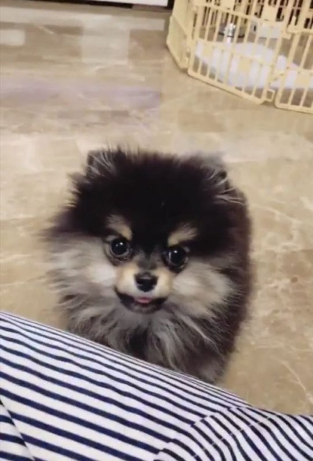 Yeontan