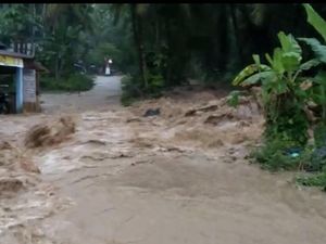 Pohon Tumbang dan Banjir Bandang di Padang Pariaman, 1 Orang Tewas