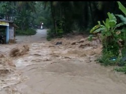 Pohon Tumbang dan Banjir Bandang di Padang Pariaman, 1 Orang Tewas