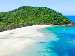 Hutan Warisan UNESCO Akhirnya Pulang ke Pelukan Suku Aborigin