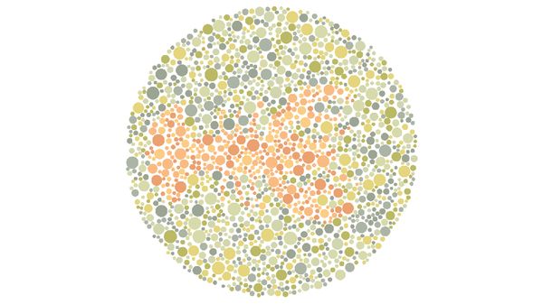 Gambar Hewan Ini Mustahil Ditebak Oleh Penyandang Buta Warna