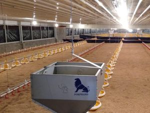 IPB Berencana Kembangkan Teknologi IoT pada Peternakan Ayam Broiler