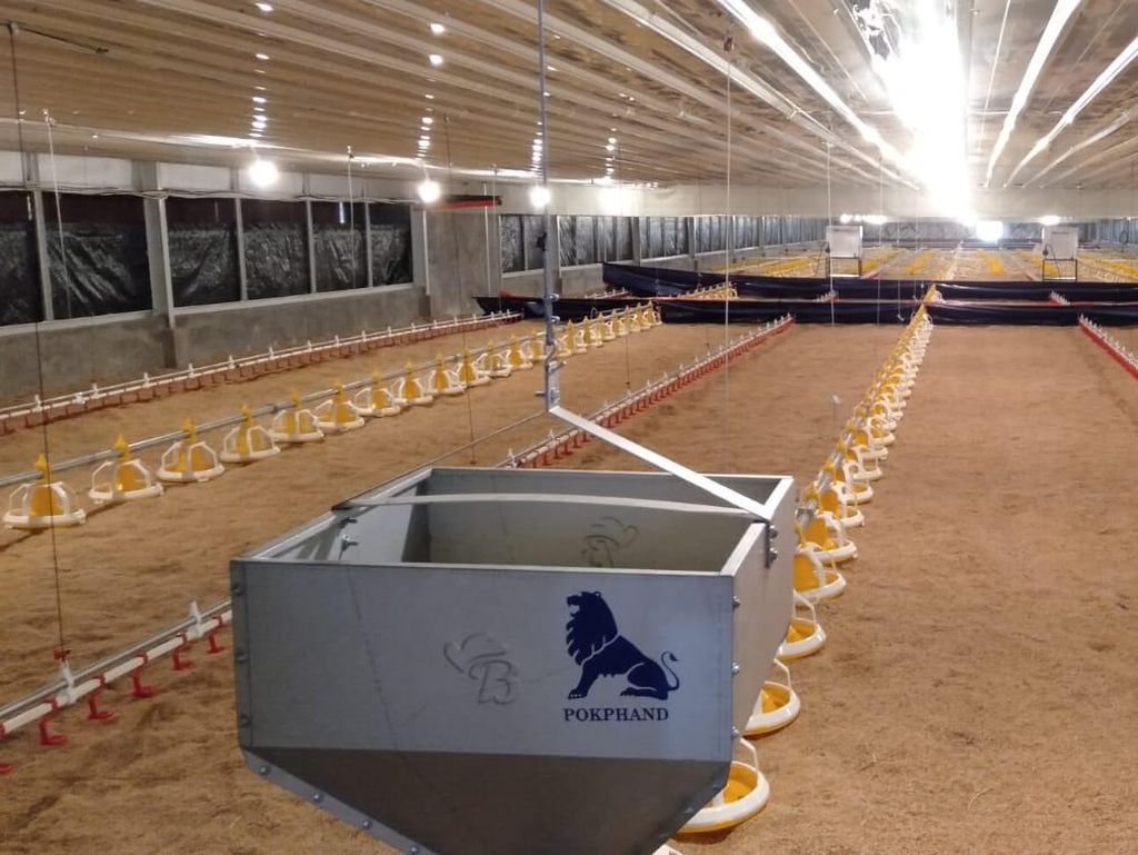 IPB Berencana Kembangkan Teknologi IoT pada Peternakan Ayam Broiler IPB Berencana Kembangkan Teknologi IoT pada Peternakan Ayam Broiler